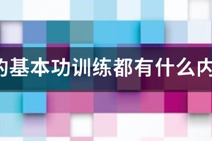 篮球技术训练的基本要求
